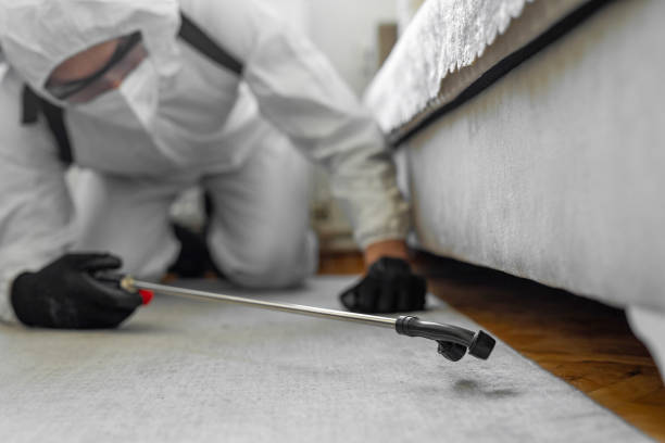 Professional Ant Control technician working in Brent, FL